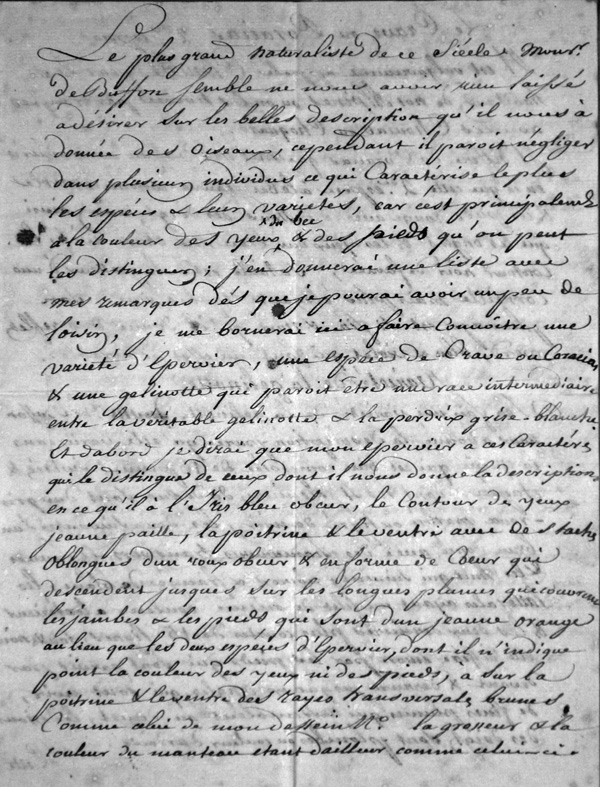 Chauvie seconde espce - Gelinotte 1