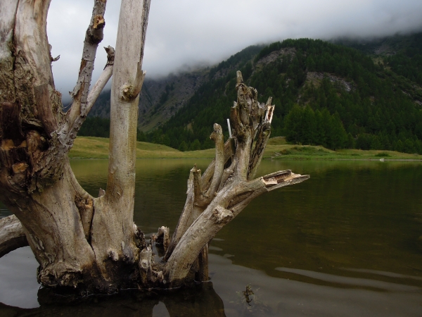 Lago di B d Col Prali Praly Germanasca