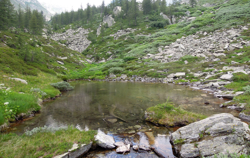 Lago nel vallone Clapo.