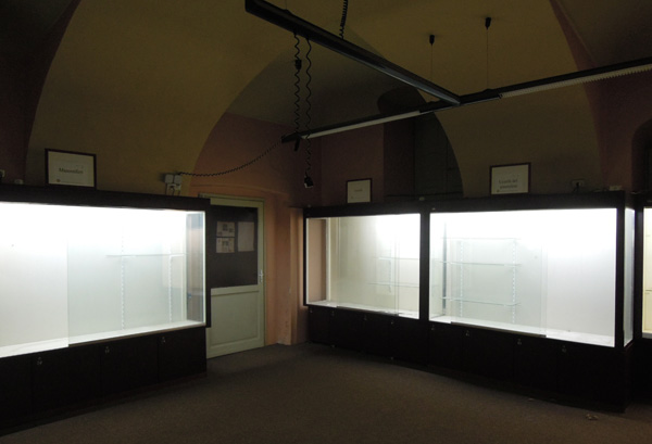 Civico Museo Didattico di Scienze Naturali Mario Strani di Pinerolo Palazzo Vittone