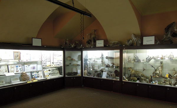 Civico Museo Didattico di Scienze Naturali Mario Strani di Pinerolo Palazzo Vittone