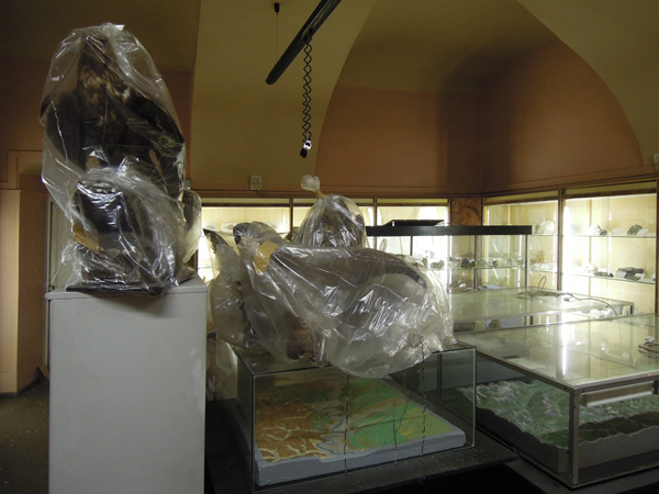 Civico Museo Didattico di Scienze Naturali Mario Strani di Pinerolo Palazzo Vittone