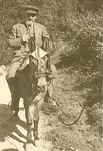 Ercole Ridoni Sapatlé
