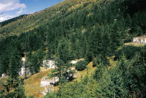 Sapatlé 1998