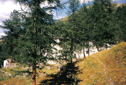Sapatlé ricoveri