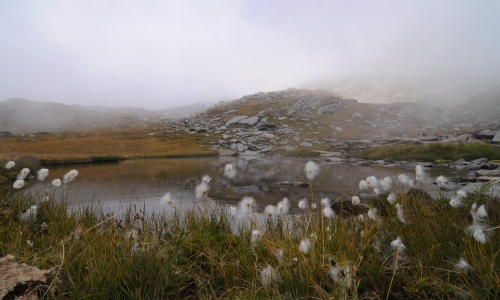 Il Lago Bianco - Lou Laou Blanc