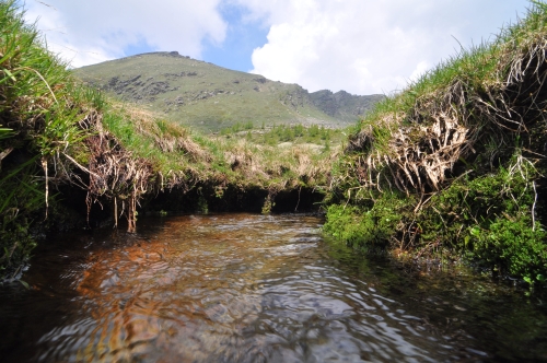 Lago Carota