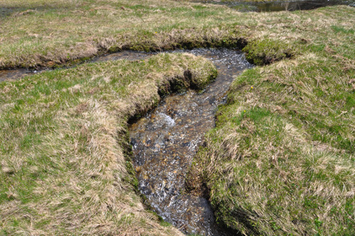 Lago Carota