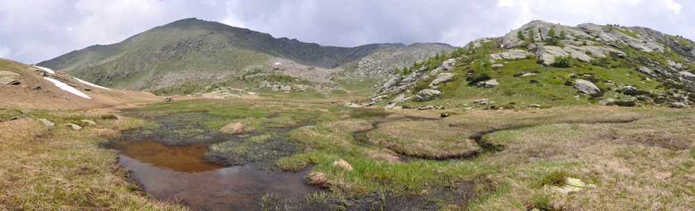 Lago Carota intorbato torbiera